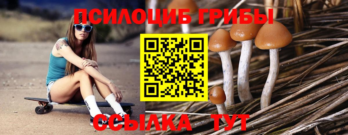 Псилоцибиновые грибы мицелий  Вход с VPN  Воронеж 