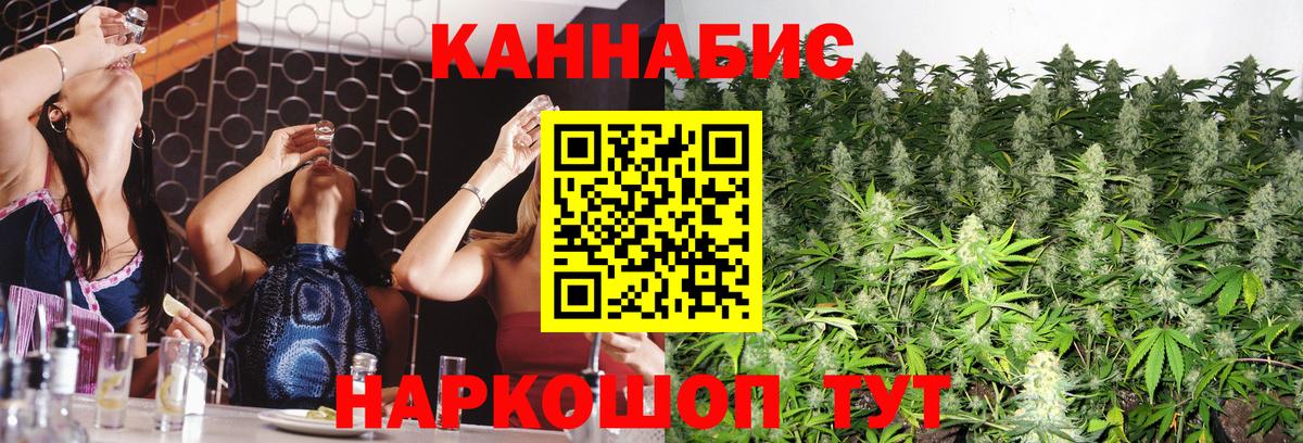 Конопля сатива Воронеж